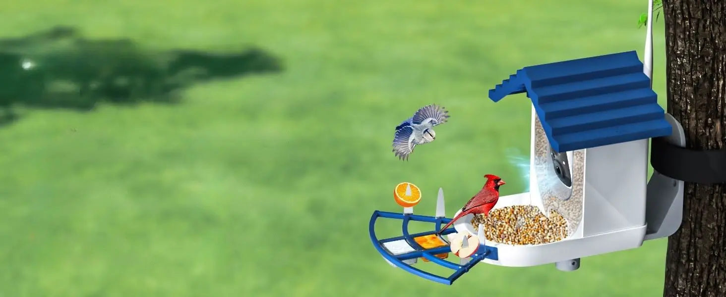 NAVFS Smart Bird Feeder with Camera